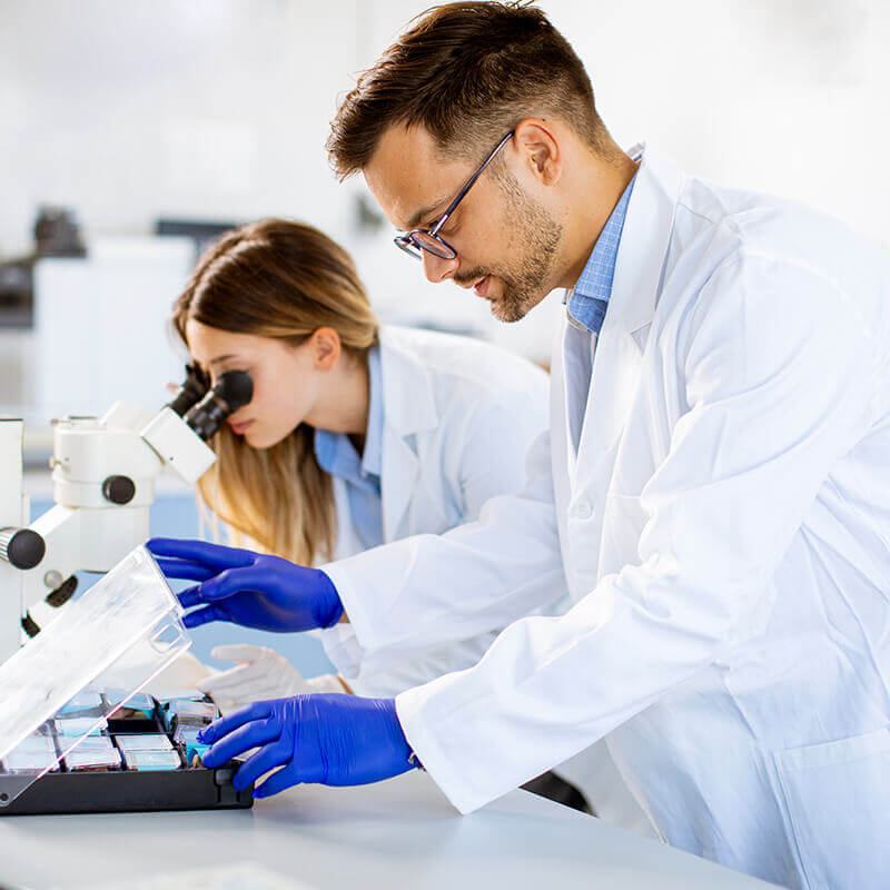 Lab Image